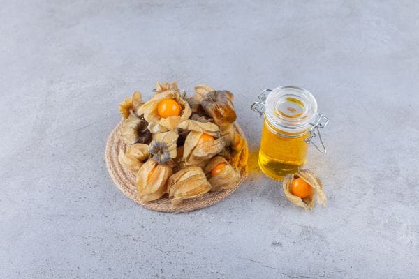 Tribulus terrestris plant